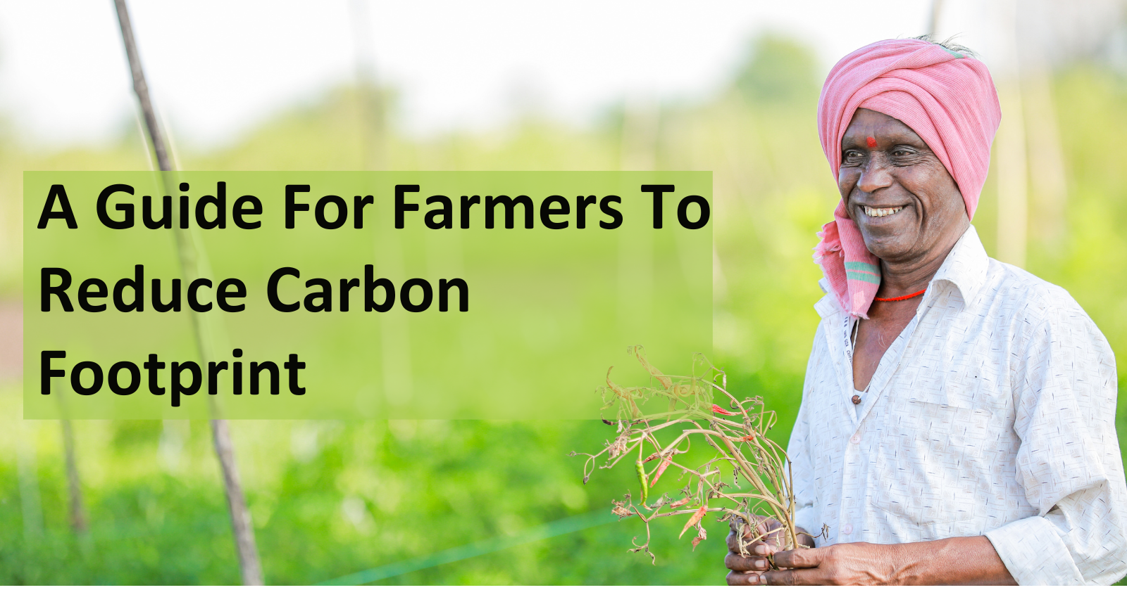 Carbon Footprint