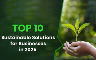 Top 10 Sustainable Solutions for Businesses in 2025