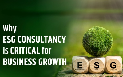 Why is ESG Consultancy Critical for Business Growth?