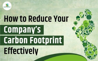 How to Reduce Your Company’s Carbon Footprint Effectively?