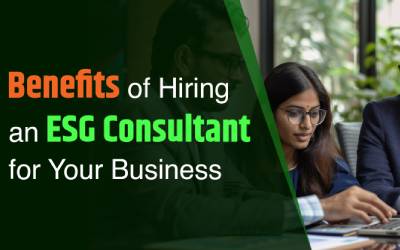 Benefits of Hiring an ESG Consultant for Your Business