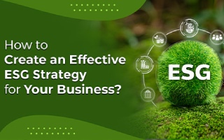 How to Create an Effective ESG Strategy for Your Business?