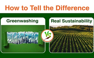 Greenwashing vs Real Sustainability: How to Tell the Difference