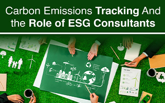 Reducing Your Carbon Footprint, Practical Steps for Companies