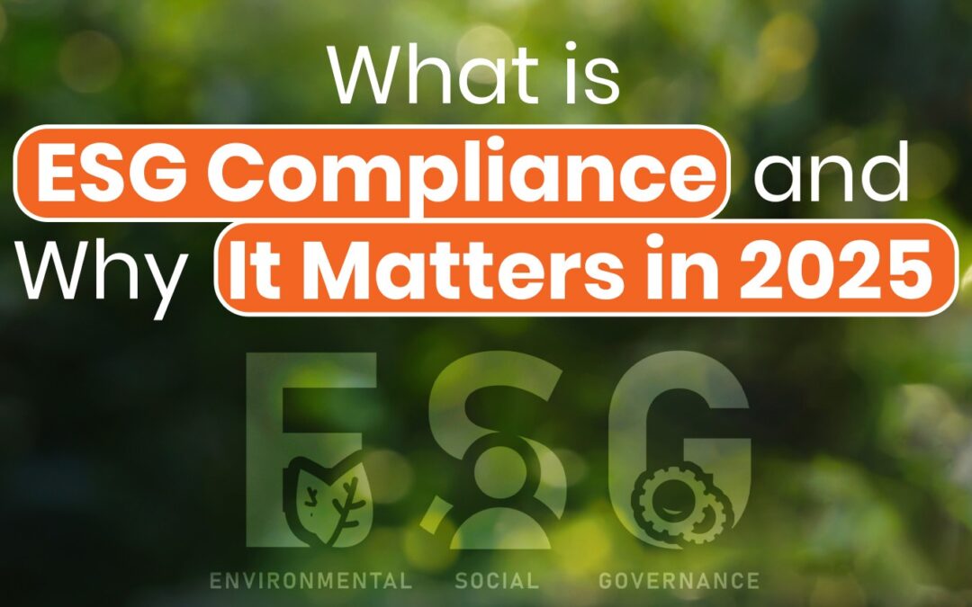 A Complete Guide to ESG Reporting for 2025 Compliance