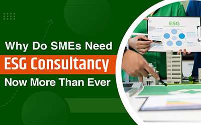 Why Do SMEs Need ESG Consultancy Now More Than Ever?