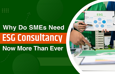 Why Do SMEs Need ESG Consultancy Now More Than Ever?