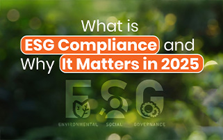 ESG Reporting for 2025 Compliance You need to know