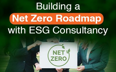 Building a Net Zero Roadmap with ESG Consultancy