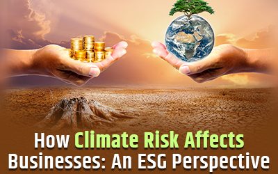 How Climate Risk Affects Businesses: An ESG Perspective