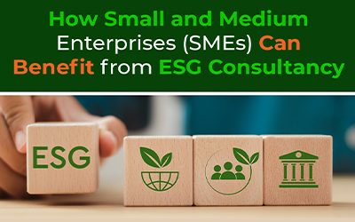 How Businesses Can Benefit from ESG Consultancy