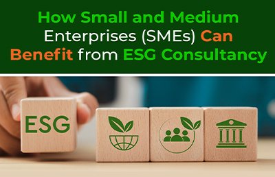 How Businesses Can Benefit from ESG Consultancy