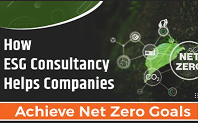How ESG Consultancy Helps Companies Achieve Net Zero Goals