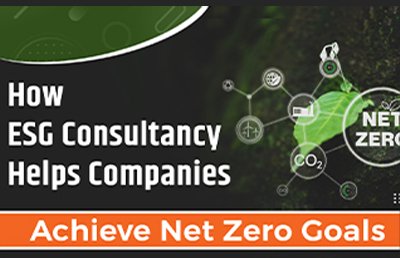 How ESG Consultancy Helps Companies Achieve Net Zero Goals
