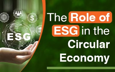 The Role of ESG in the Circular Economy