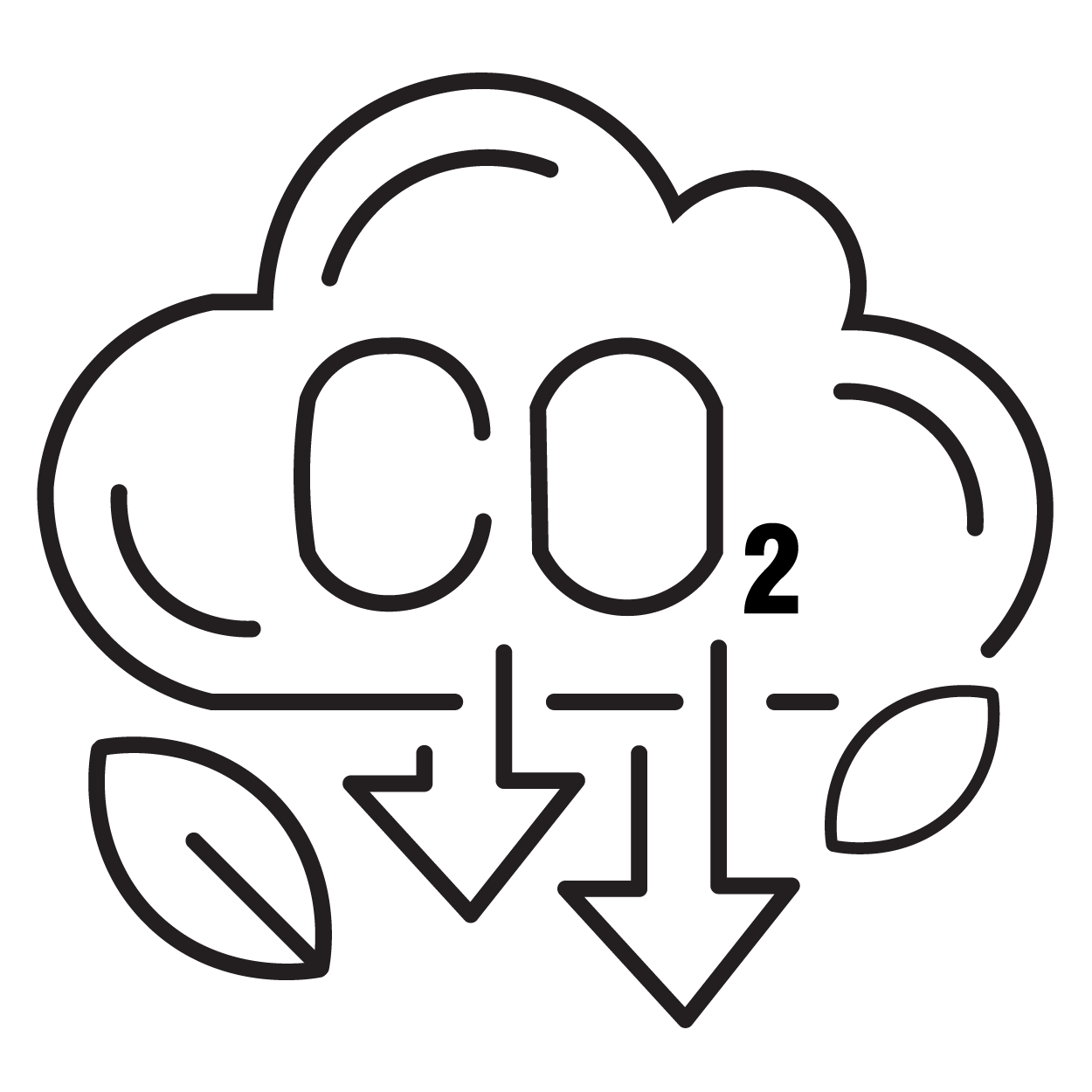 Driving Decarbonization