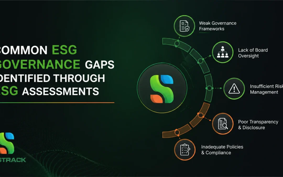 ESG Governance Gaps Identified Through ESG Assessments