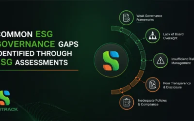 ESG Governance Gaps Identified Through ESG Assessments